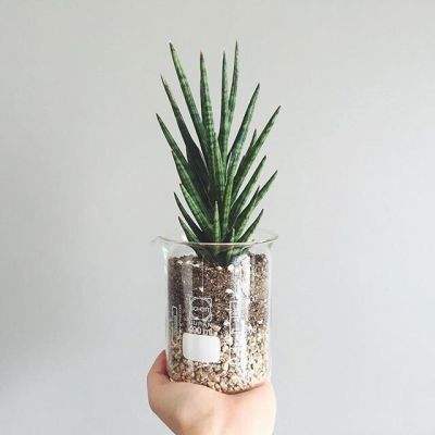 kok综合体育官方app下载