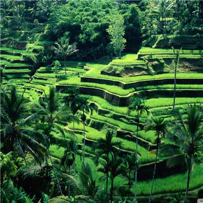 爱游戏全站APP下载下载手机版