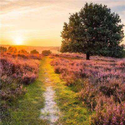 pg电子·模拟器(试玩游戏)手机app下载